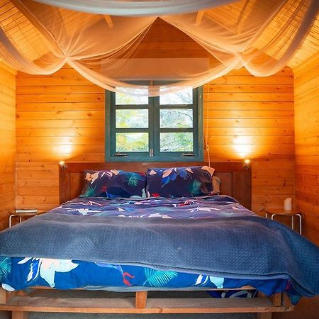 Tui Ridge Eco Cabins Aongatete Екстер'єр фото