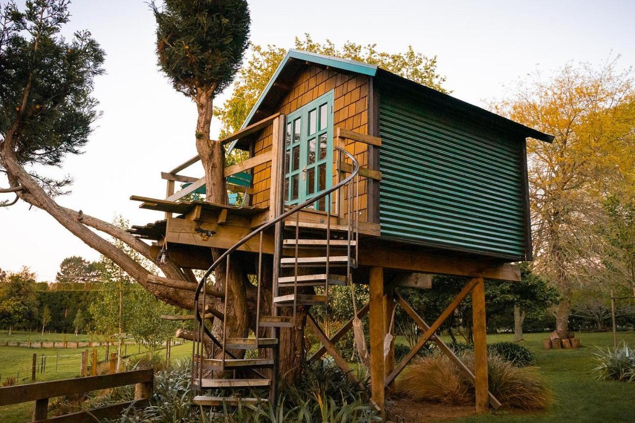 Tui Ridge Eco Cabins Aongatete Екстер'єр фото