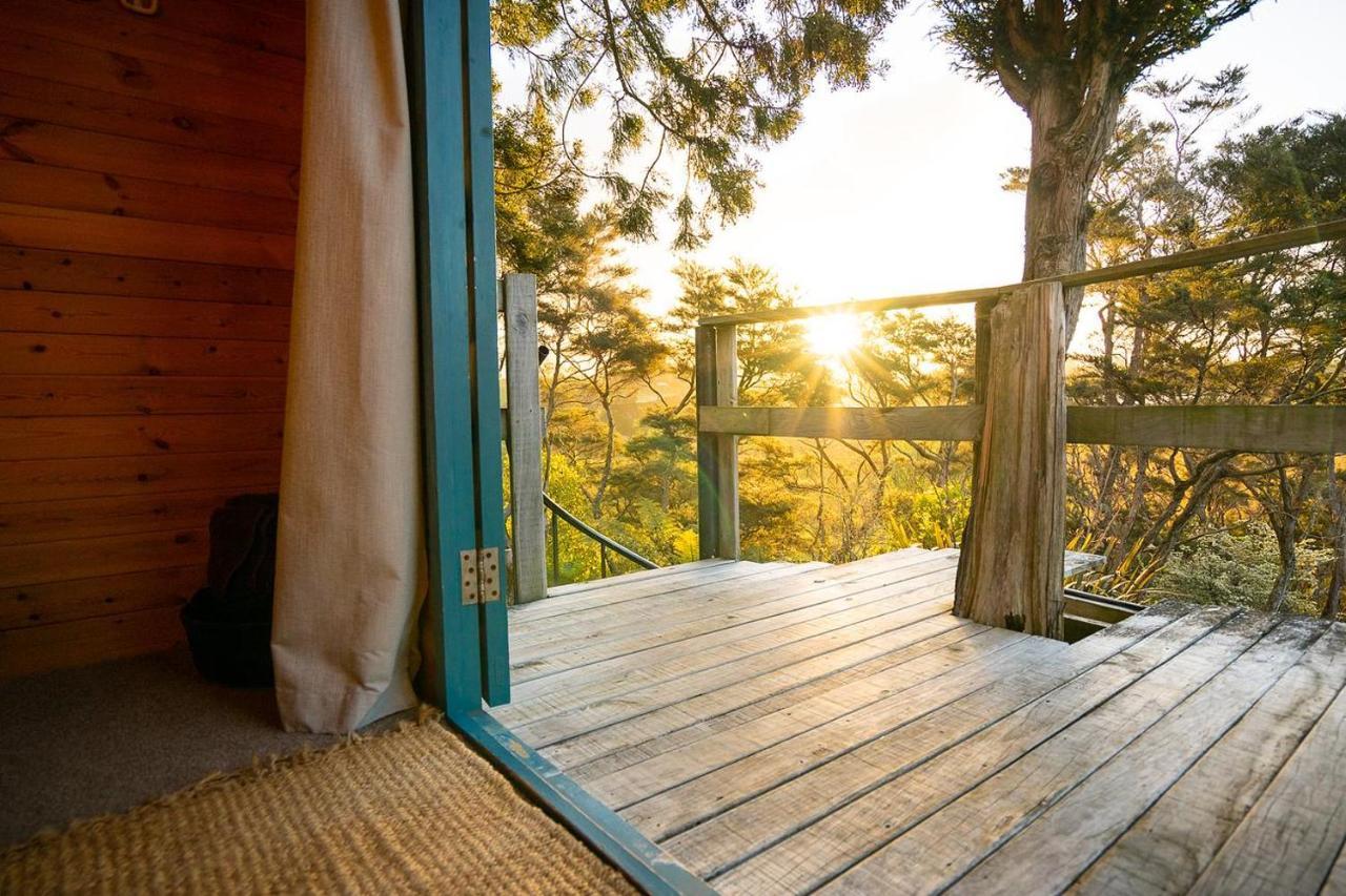 Tui Ridge Eco Cabins Aongatete Екстер'єр фото