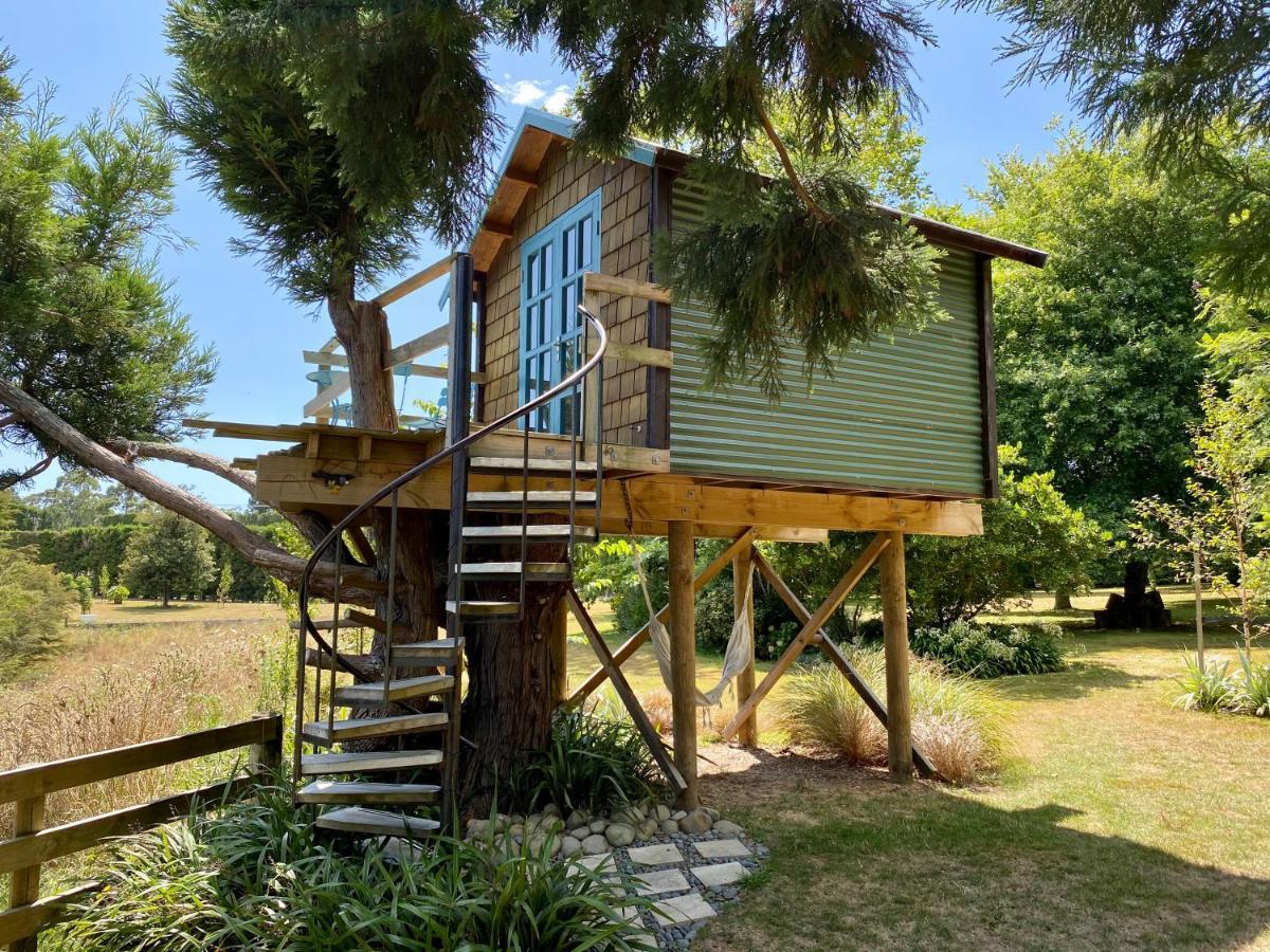 Tui Ridge Eco Cabins Aongatete Екстер'єр фото