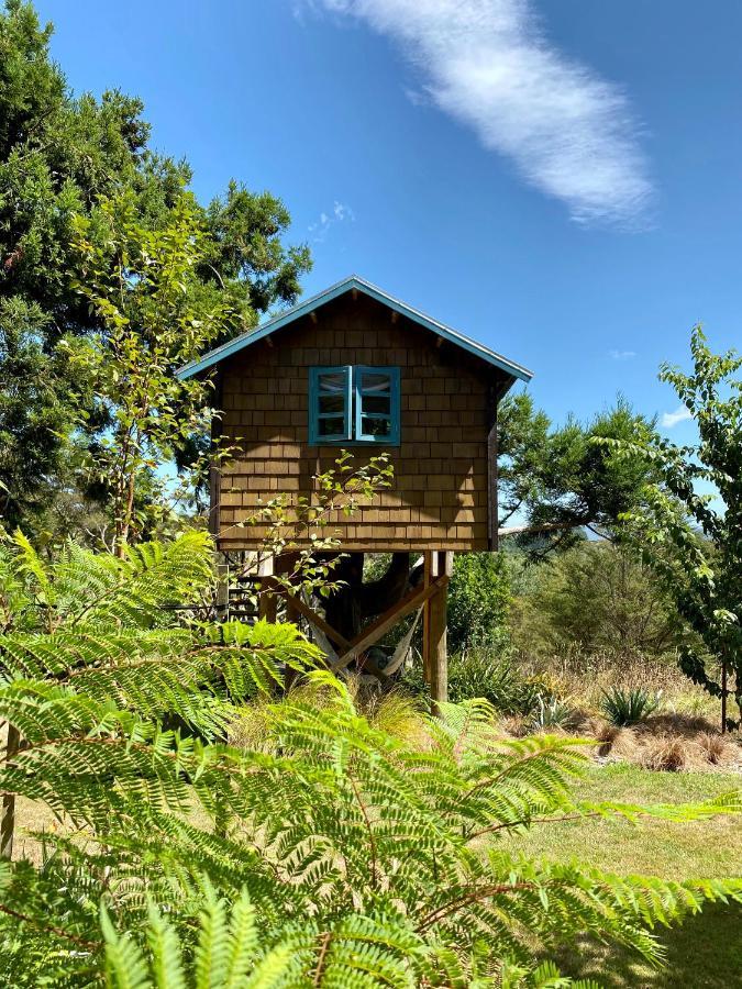 Tui Ridge Eco Cabins Aongatete Екстер'єр фото